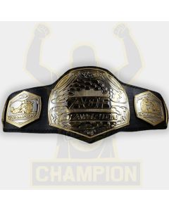 Art Of Fighting MMA Supreme Championship Belt