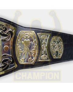 Buzz Sawyer UWF Television Championship Title Belt Terry Taylor and Nikita Koloff NWA