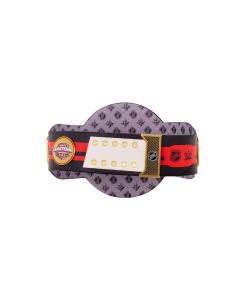 Carolina Hurricanes Legacy Title Belt