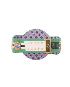 Dallas Stars Legacy Title Belt