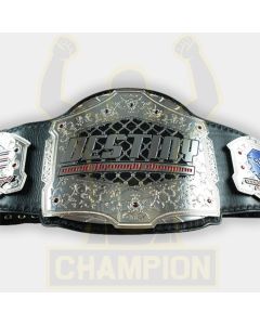 Destiny MMA Title Belt