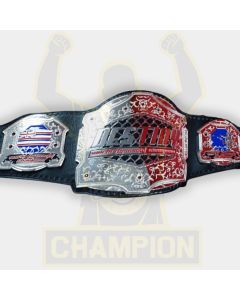 Destiny MMA Championship Belt