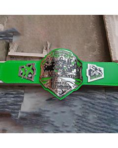 D GENERATION X champions Title Belt