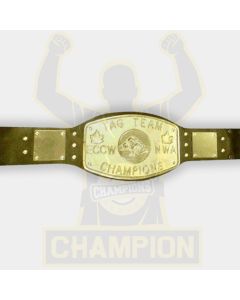 ECCW NWA Tag Team Elite Canadian Championship Belt