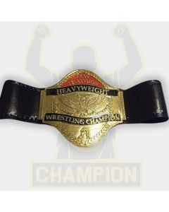 ECW Television Heavyweight Wrestling Championship Belt Rob Van Dam Johnny Hotbody