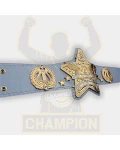Future of Stardom A Young Girls Shining Dream Japanese Championship Belt
