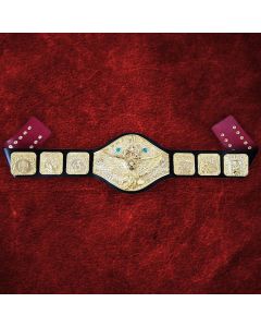 Gold Backlund Belt Special Edition