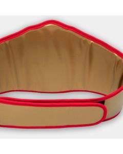 Gold Flash World Title Belt NEW