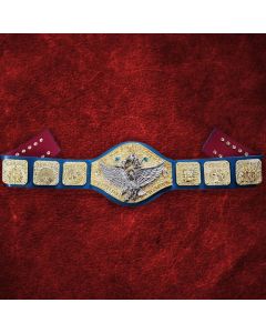 Gold with Silver Eagle Backlund Belt Special
