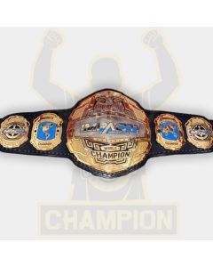Impact World Wrestling Championship Belt