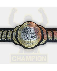 Matt and Jeff Hardy Broken Tag Team Wrestling Championship Belt