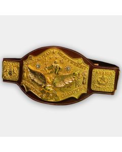 NWA World Tag Team Championship Belt Gold Color