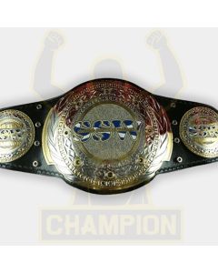 SSW Tag Team Titles Championship Belt