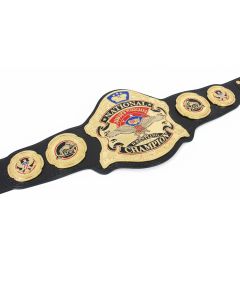 WWE Undertaker 30 Years Championship Belt