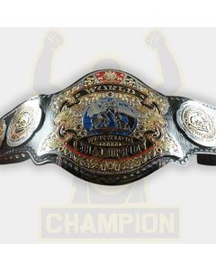 World Wide Wrestling of Japan Championship Title Belt