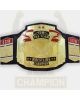 1st ECW Tag Team Wrestling Championship Belt