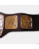 AWA Southern Tag Team Wrestling Championship Fight Belt 