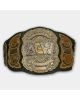 AEW World Heavyweight Championship belt