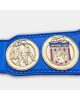 APW Customized Tag Team Championship Title Belt