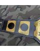Custom Championship Belt Starbound Edition