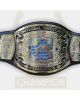 Buzz Sawyer UWF Television Championship Title Belt Terry Taylor and Nikita Koloff NWA