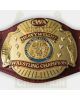 CWA Championship Belt Great Seal of the State Arkansas Belt Jerry Lawler