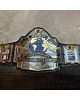 World heavyweight Wrestling Champion Title Belt