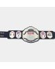 ECW World Heavyweight Championship Wrestling Title Belt Replica NEW