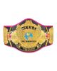WWE Heavy Champion Bret Hart Title Belt