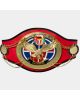 International Champion Title Belt IC-34