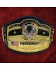 NWA Domed Globe Heavyweight Championship Belt 2021 Version Special