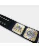 NWA Nation Tag Team Championship Wrestling Heavyweight Belt !