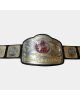 NWA Nation Tag Team Championship Wrestling Heavyweight Belt !