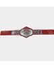 NWA Television Heavyweight Wrestling Championship Title Belt NEW