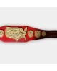 NWA United States Heavyweight Champion The Shiek Detroit Version