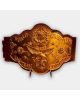 NWA World Womens Tag Team Championship Belt
