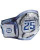 Roman Reigns 25th Anniversary Spinner Replica Title Belt