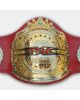 TNA LEGENDS Wrestling Championship Title Belt NEW