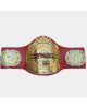 TNA LEGENDS Wrestling Championship Title Belt NEW