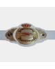 TNA Womens Heavyweight Wrestling Championship Title Belt NEW