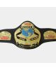 WCW World Tag Team Wrestling Championship Title Belt 