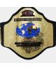 WCW World Television Wrestling Championship Title Belt NEW