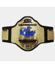 WCW World Television Wrestling Championship Title Belt NEW