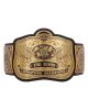 WWE Tag Team Championship Replica Title Belt