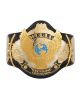 WWE Winged Eagle Dual Plated Championship Title Belt