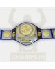 WWWF 82 Tag Team Champion Old School Trophy Belt