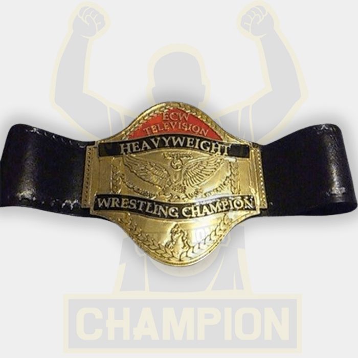 ECW Television Heavyweight Wrestling Championship Belt Rob Van Dam Johnny Hotbody