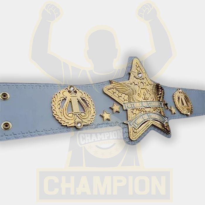 Future of Stardom A Young Girls Shining Dream Japanese Championship Belt 