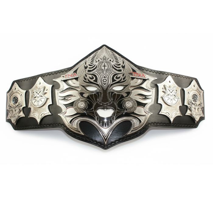 Jeff Hardys TNA Impact World Title Belt