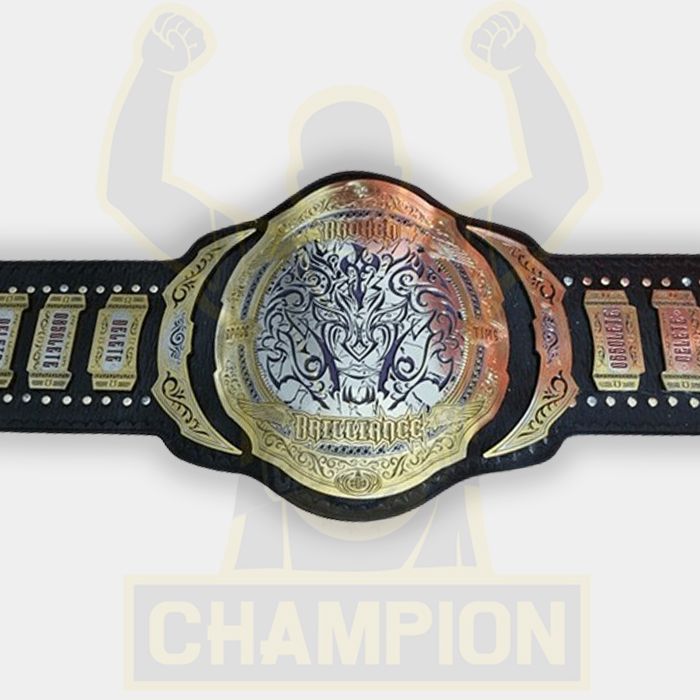 Matt and Jeff Hardy Broken Tag Team Wrestling Championship Belt